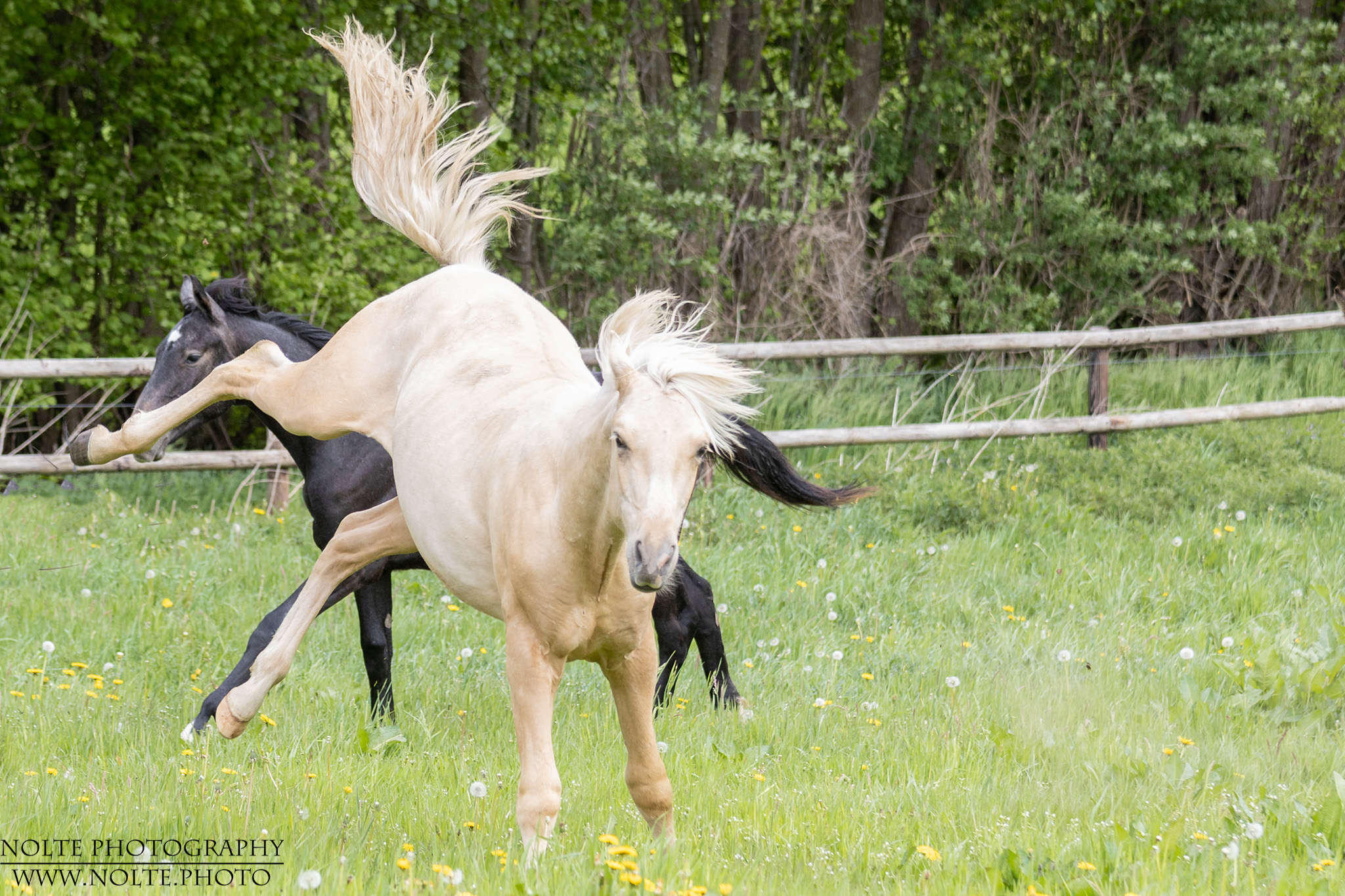 Und einmal nach hinten rausfeuern!